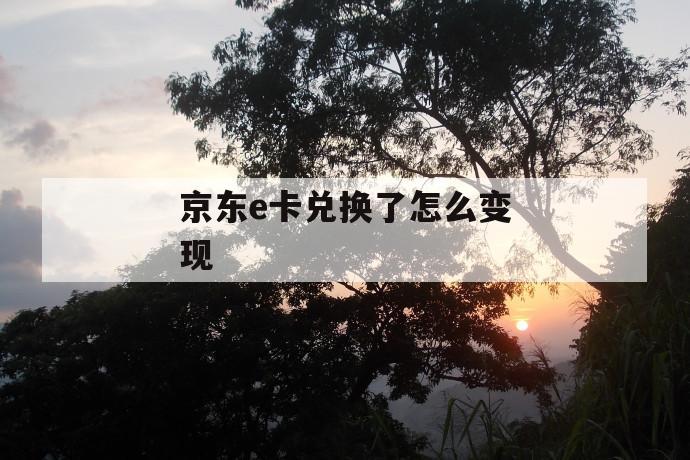 京东e卡兑换了怎么变现 第1张 京东e卡兑换了怎么变现 第1张