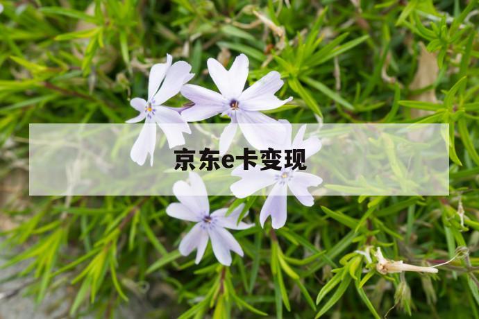 京东e卡变现 第1张 京东e卡变现 第1张