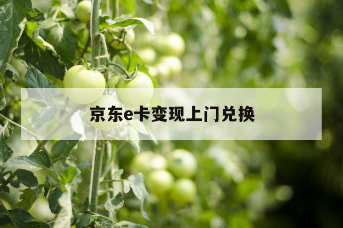 京东e卡变现上门兑换 第1张 京东e卡变现上门兑换 第1张