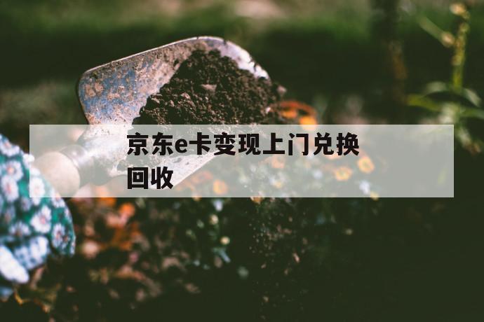 京东e卡变现上门兑换回收 第1张 京东e卡变现上门兑换回收 第1张