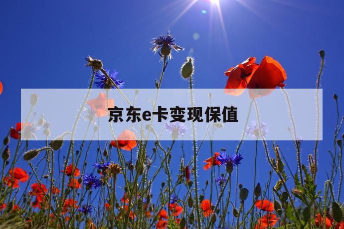 京东e卡变现保值 第1张 京东e卡变现保值 第1张