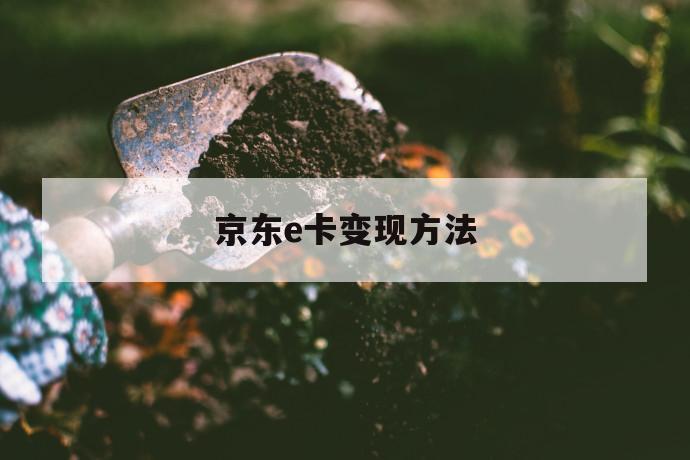 京东e卡变现方法 第1张 京东e卡变现方法 第1张