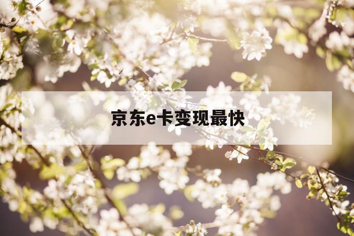 京东e卡变现最快 第1张 京东e卡变现最快 第1张