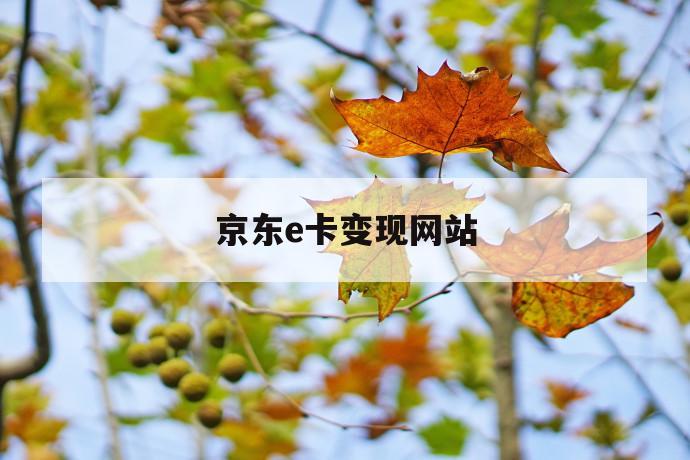 京东e卡变现网站 第1张 京东e卡变现网站 第1张