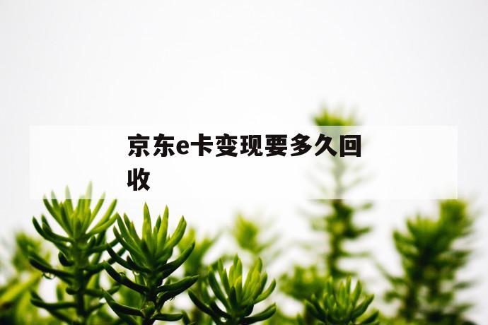 京东e卡变现要多久回收 第1张 京东e卡变现要多久回收 第1张