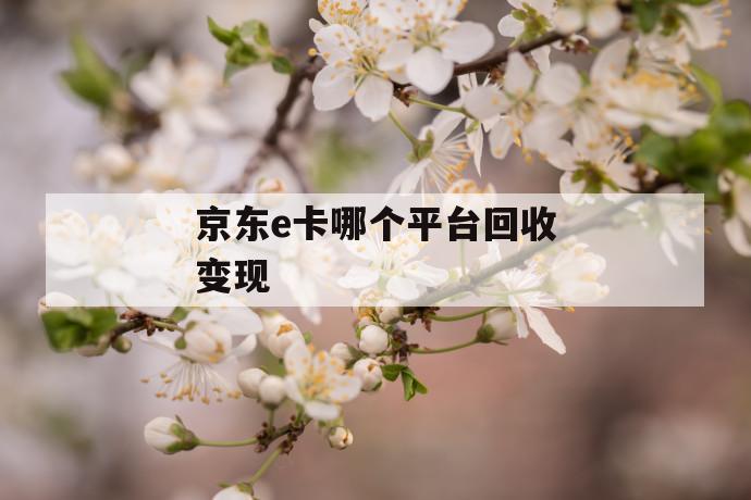 京东e卡哪个平台回收变现 第1张 京东e卡哪个平台回收变现 第1张
