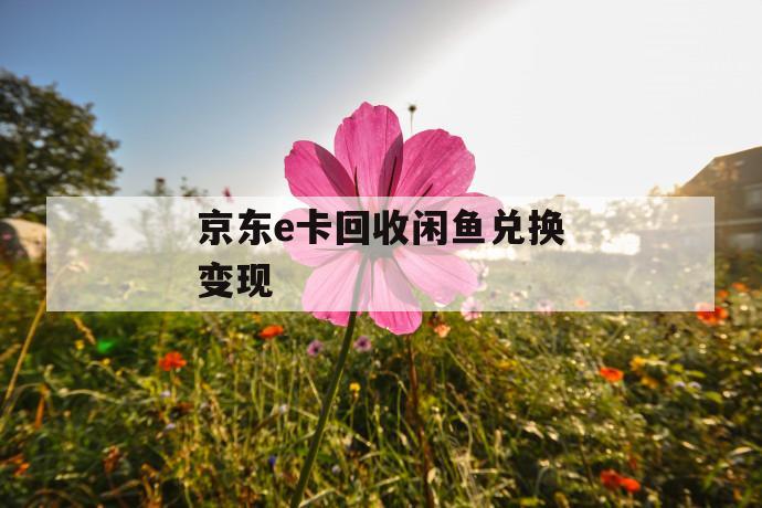 京东e卡回收闲鱼兑换变现 第1张 京东e卡回收闲鱼兑换变现 第1张