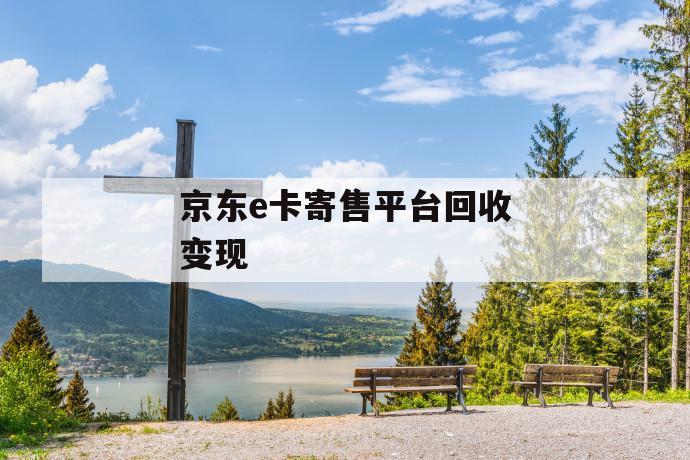 京东e卡寄售平台回收变现 第1张 京东e卡寄售平台回收变现 第1张