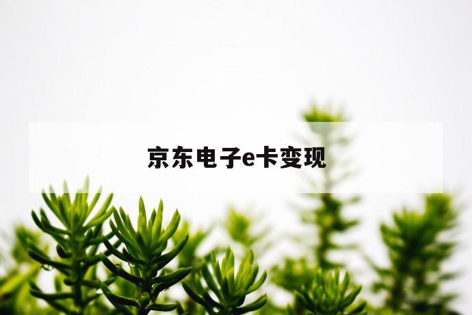 京东电子e卡变现 第1张 京东电子e卡变现 第1张