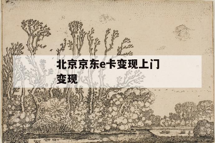 北京京东e卡变现上门变现 第1张 北京京东e卡变现上门变现 第1张