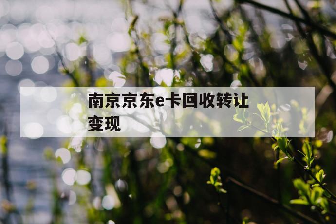 南京京东e卡回收转让变现 第1张 南京京东e卡回收转让变现 第1张