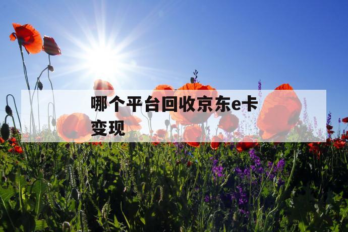 哪个平台回收京东e卡变现 第1张 哪个平台回收京东e卡变现 第1张