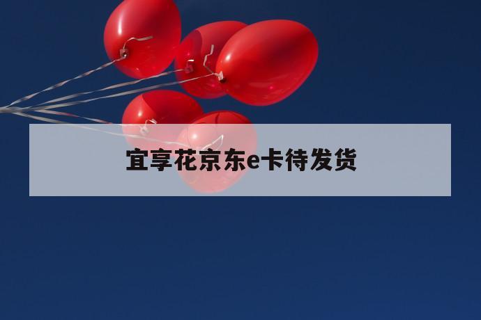 宜享花京东e卡待发货 第1张 宜享花京东e卡待发货 第1张