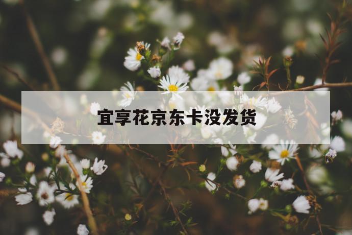 宜享花京东卡没发货 第1张 宜享花京东卡没发货 第1张