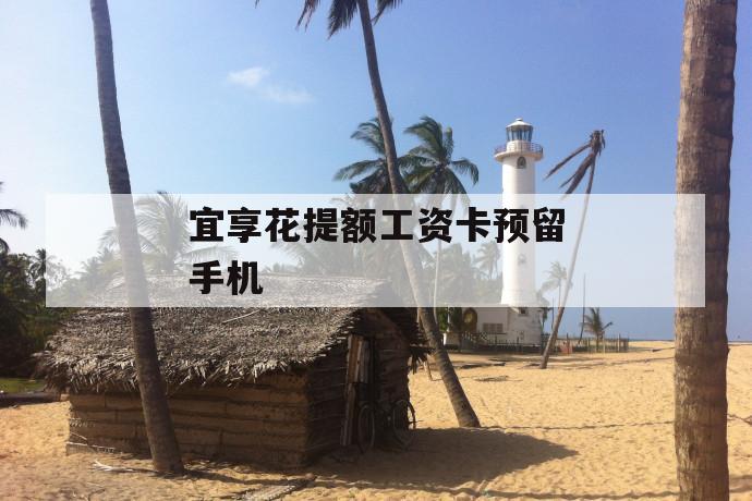 宜享花提额工资卡预留手机 第1张 宜享花提额工资卡预留手机 第1张