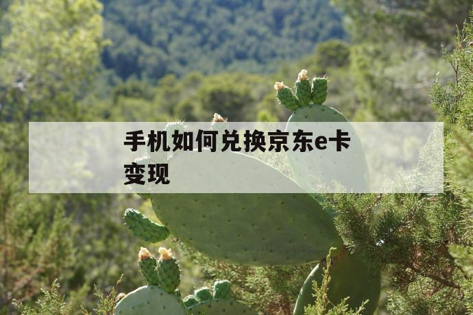 手机如何兑换京东e卡变现 第1张 手机如何兑换京东e卡变现 第1张