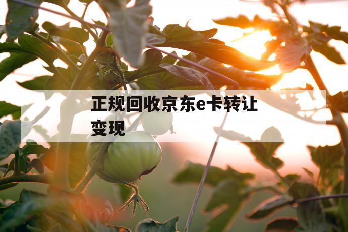 正规回收京东e卡转让变现 第1张 正规回收京东e卡转让变现 第1张