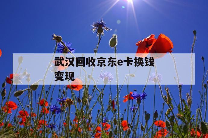 武汉回收京东e卡换钱变现 第1张 武汉回收京东e卡换钱变现 第1张
