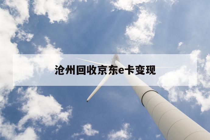 沧州回收京东e卡变现 第1张 沧州回收京东e卡变现 第1张