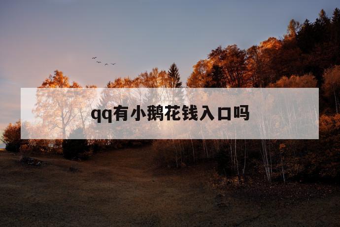 qq有小鹅花钱入口吗 第1张 qq有小鹅花钱入口吗 第1张