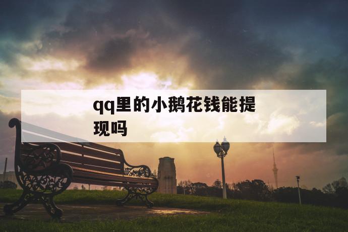 qq里的小鹅花钱能提现吗 第1张 qq里的小鹅花钱能提现吗 第1张