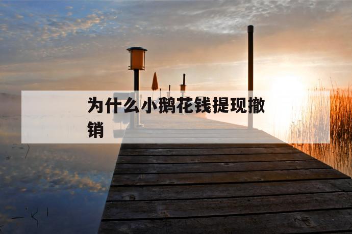 为什么小鹅花钱提现撤销 第1张 为什么小鹅花钱提现撤销 第1张