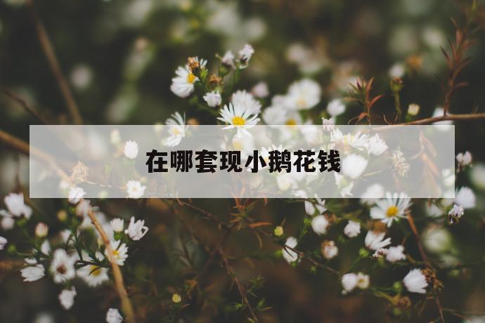 在哪套现小鹅花钱 第1张 在哪套现小鹅花钱 第1张