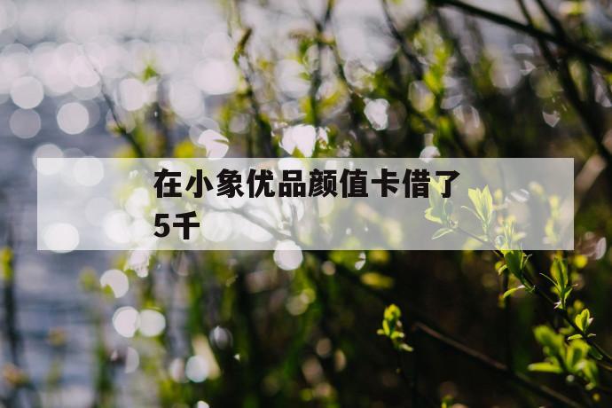 在小象优品颜值卡借了5千 第1张 在小象优品颜值卡借了5千 第1张