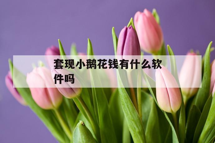套现小鹅花钱有什么软件吗 第1张 套现小鹅花钱有什么软件吗 第1张