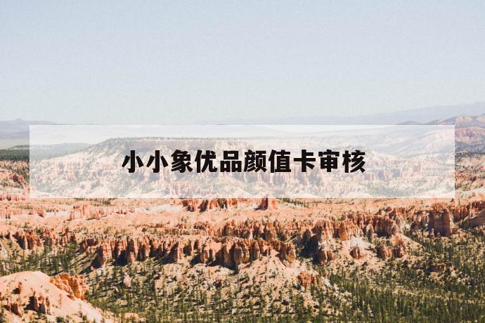 小小象优品颜值卡审核 第1张 小小象优品颜值卡审核 第1张