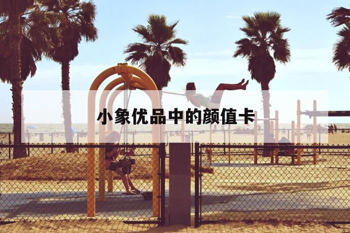 小象优品中的颜值卡 第1张 小象优品中的颜值卡 第1张