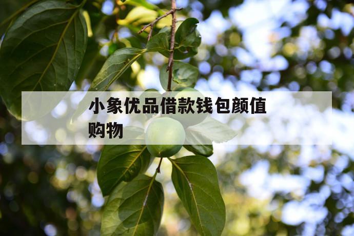 小象优品借款钱包颜值购物 第1张 小象优品借款钱包颜值购物 第1张