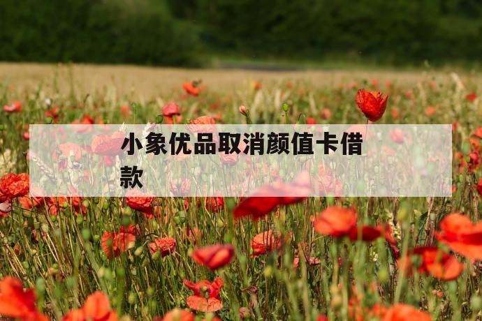 小象优品取消颜值卡借款 第1张 小象优品取消颜值卡借款 第1张