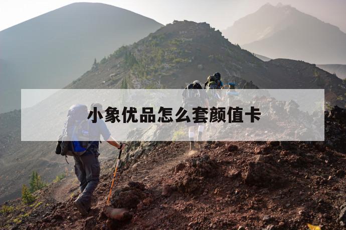 小象优品怎么套颜值卡 第1张 小象优品怎么套颜值卡 第1张