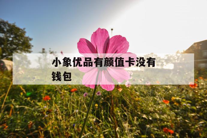 小象优品有颜值卡没有钱包 第1张 小象优品有颜值卡没有钱包 第1张