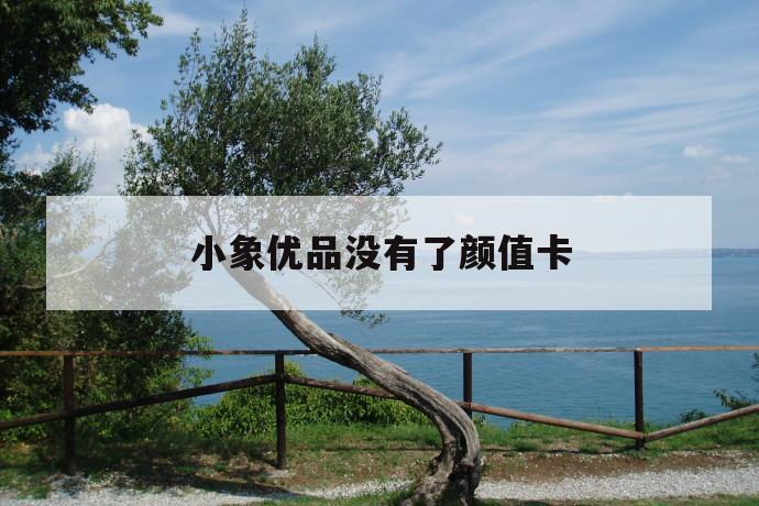 小象优品没有了颜值卡 第1张 小象优品没有了颜值卡 第1张