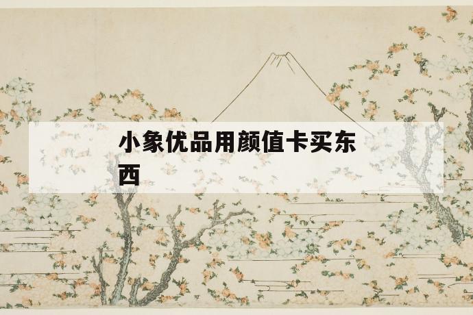 小象优品用颜值卡买东西 第1张 小象优品用颜值卡买东西 第1张
