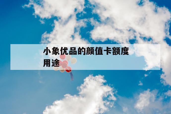 小象优品的颜值卡额度用途 第1张 小象优品的颜值卡额度用途 第1张