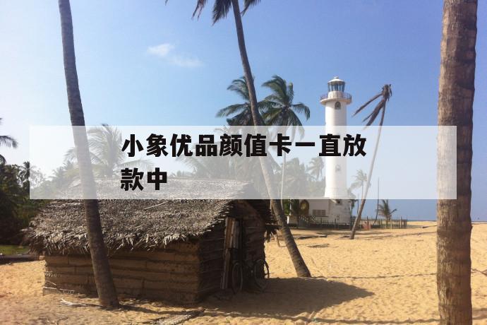 小象优品颜值卡一直放款中 第1张 小象优品颜值卡一直放款中 第1张