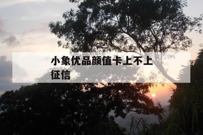 小象优品颜值卡上不上征信 第1张 小象优品颜值卡上不上征信 第1张