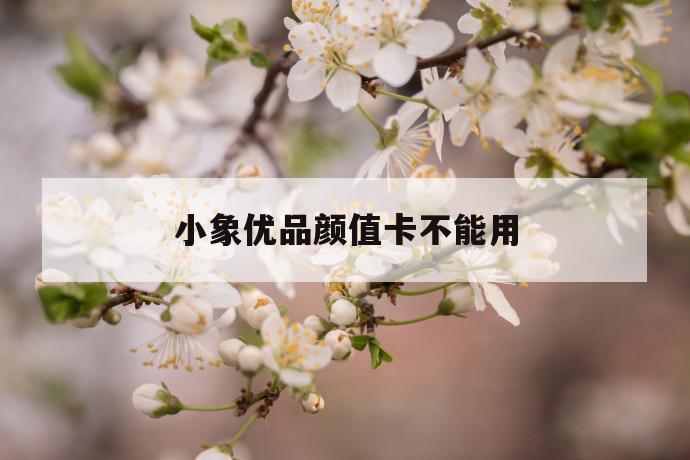 小象优品颜值卡不能用 第1张 小象优品颜值卡不能用 第1张