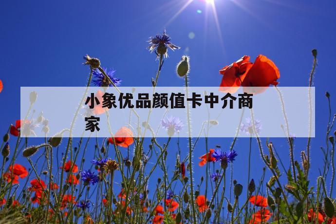 小象优品颜值卡中介商家 第1张 小象优品颜值卡中介商家 第1张