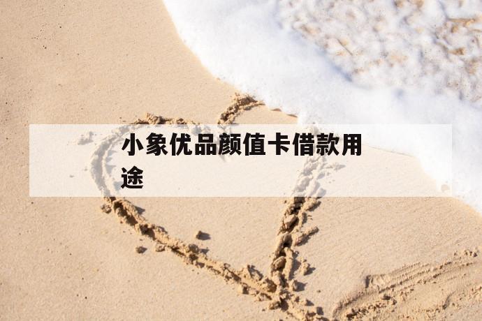 小象优品颜值卡借款用途 第1张 小象优品颜值卡借款用途 第1张