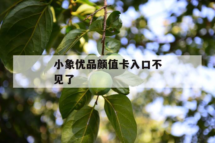 小象优品颜值卡入口不见了 第1张 小象优品颜值卡入口不见了 第1张