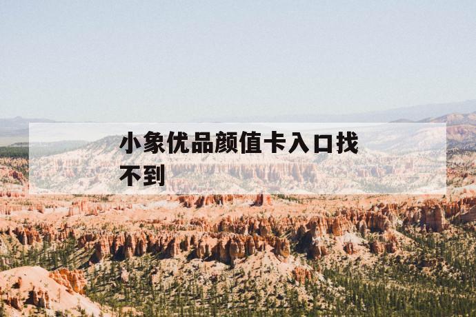 小象优品颜值卡入口找不到 第1张 小象优品颜值卡入口找不到 第1张