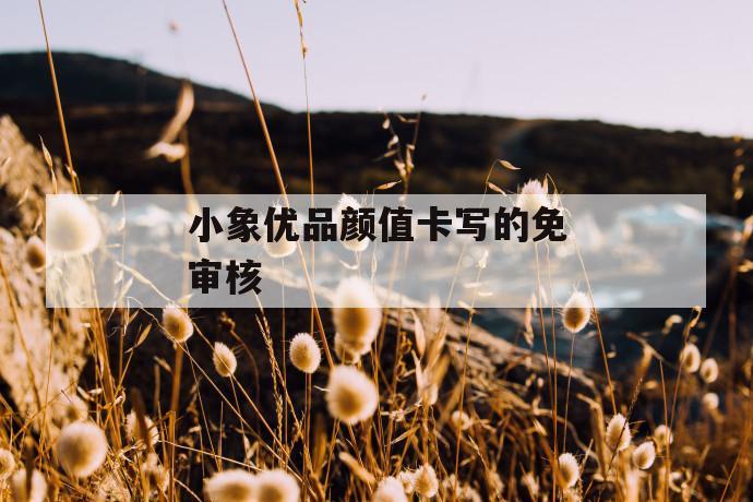 小象优品颜值卡写的免审核 第1张 小象优品颜值卡写的免审核 第1张