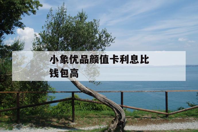 小象优品颜值卡利息比钱包高 第1张 小象优品颜值卡利息比钱包高 第1张