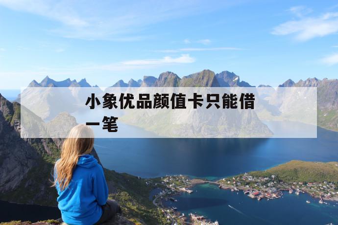 小象优品颜值卡只能借一笔 第1张 小象优品颜值卡只能借一笔 第1张