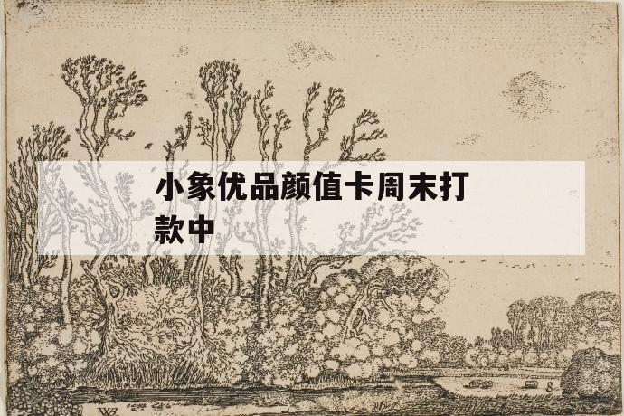 小象优品颜值卡周末打款中 第1张 小象优品颜值卡周末打款中 第1张