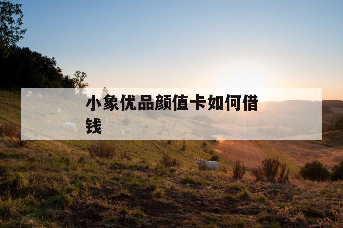 小象优品颜值卡如何借钱 第1张 小象优品颜值卡如何借钱 第1张